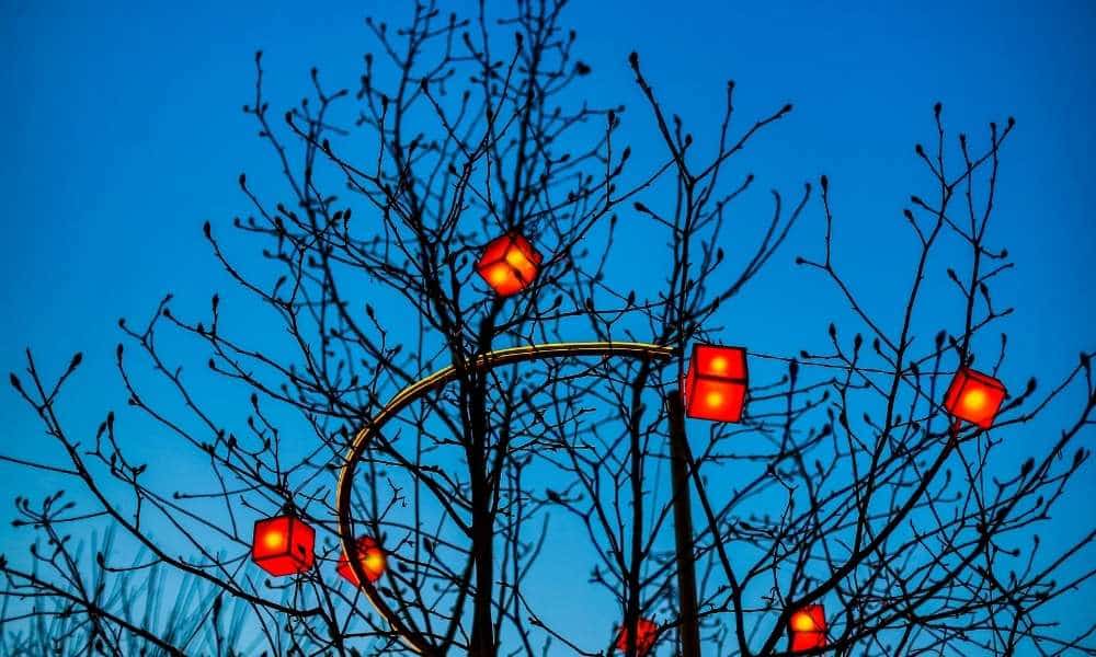 How to decorate outdoor trees with lights